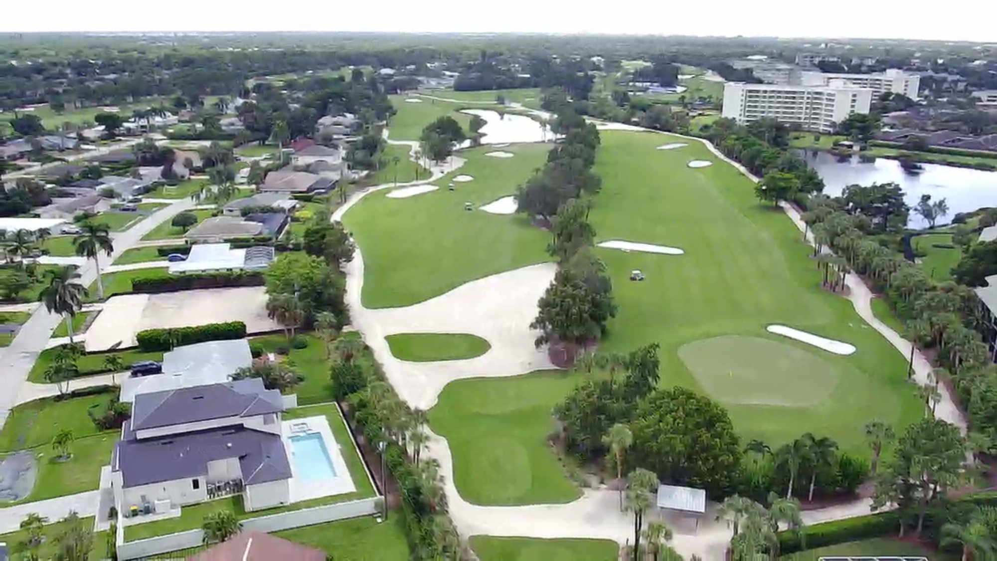 The Rough Golf Course A view from the rough… – Country Club of Naples Golf Maintenance